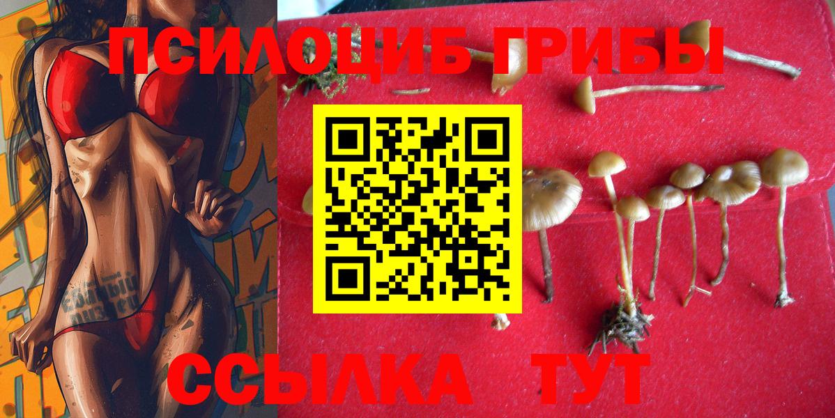 дарнет шоп  Псилоцибиновые грибы Psilocybine cubensis  Вход с VPN  Мытищи 