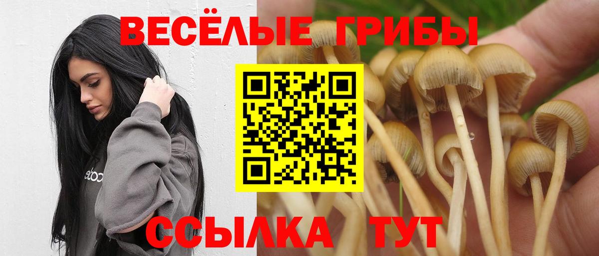 Галлюциногенные грибы GOLDEN TEACHER Мытищи